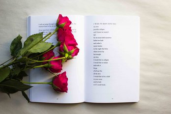 [Translate to Spanish (South America):] Libro y rosas