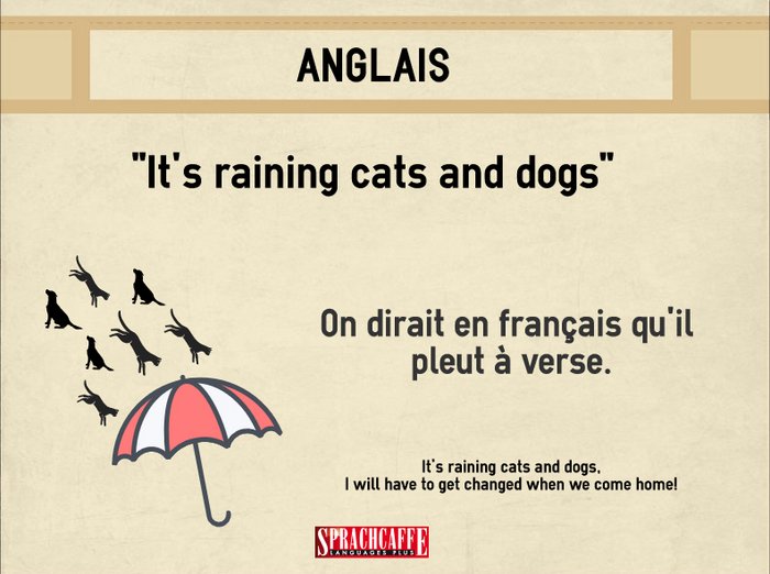 It's raining cats and dogs - Expression anglaise