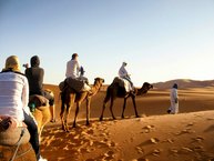 Balade en chameau - séjour au Maroc