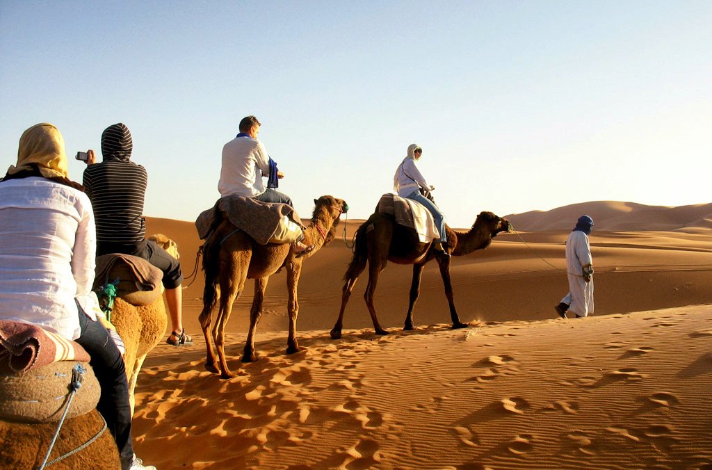 Paseo en camello en el Desierto del Sáhara