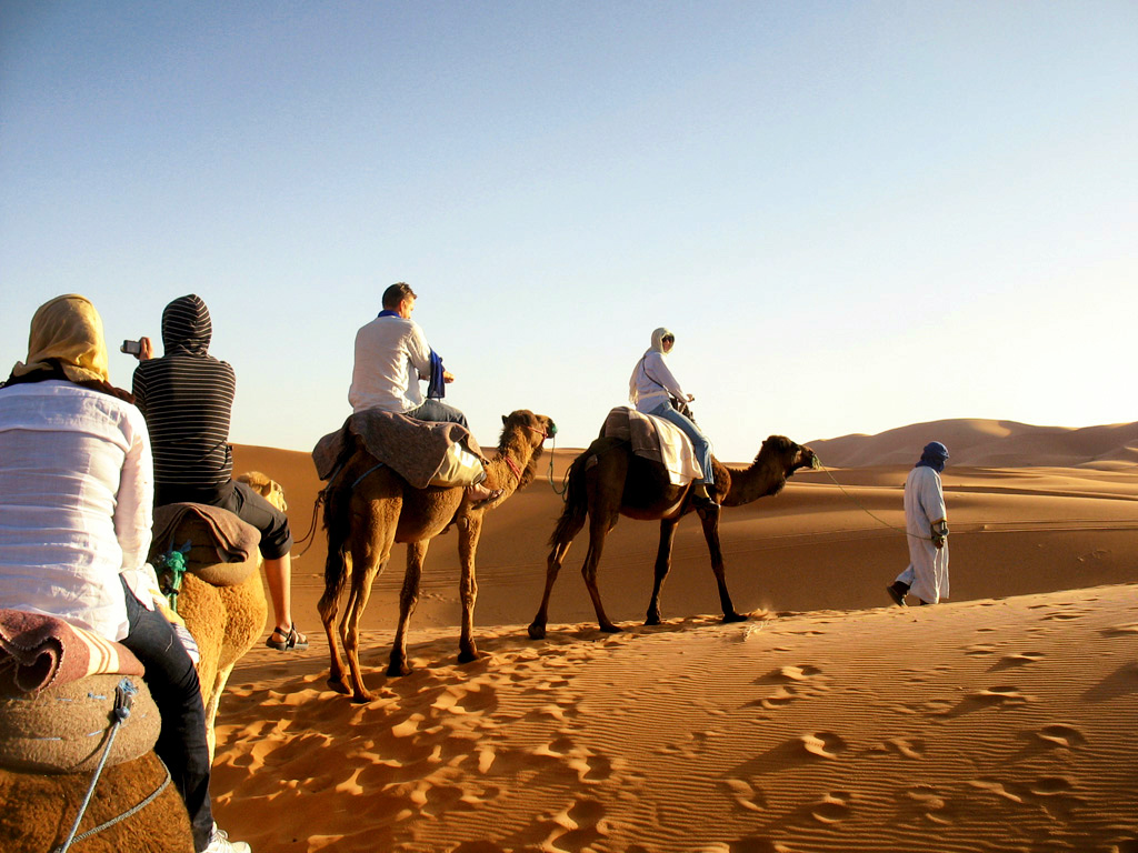 Paseo en camello en el Desierto del Sáhara