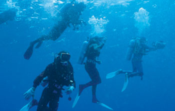 Dive Package Malta