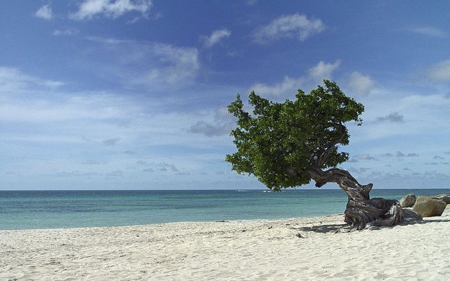 Islas donde perderse - Aruba