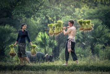 Farming