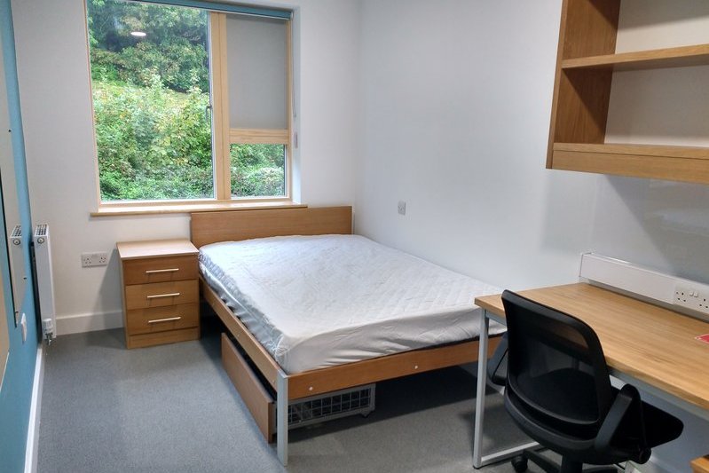 Jasny, nowoczesny pokój jednoosobowy z biurkiem, łóżkiem i widokiem na zieleń, dostępny w rezydencji studenckiej w Sprachcaffe Brighton