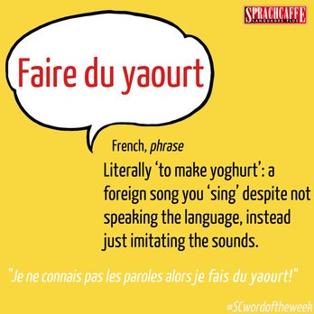 Word 5 - Faire du yaourt (French)