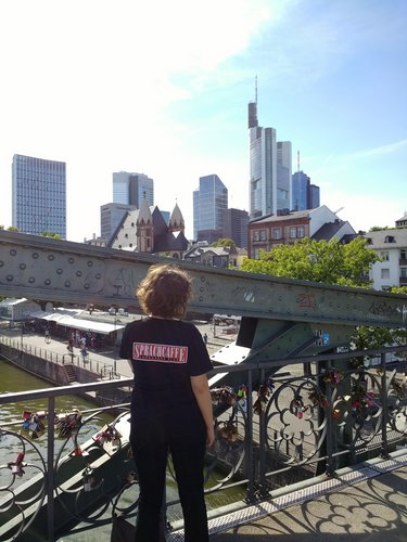 View from the Iron Bridge in Frankfurt 
