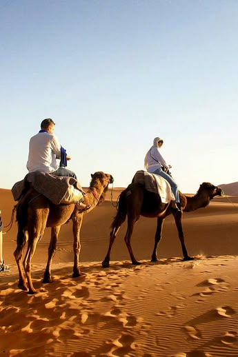 vacanze studio arabo