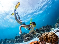 diving a cuba