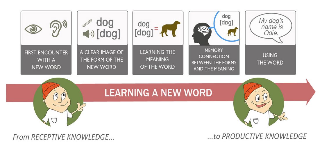 Jak uczyć się nowych słówek - infografika