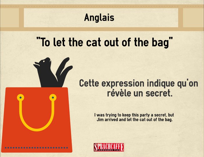 To let the cat out of the bag - Expression anglaise