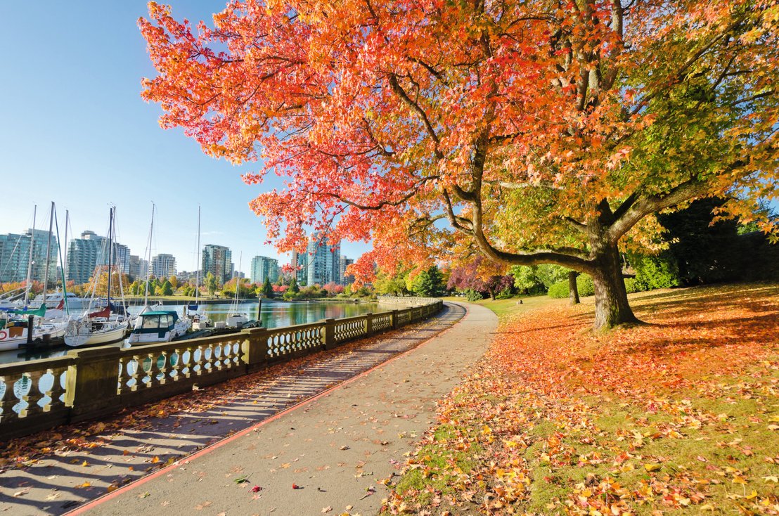 Vancouver también es una auténtica belleza en otoño.