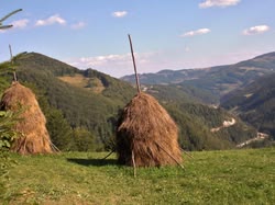 Roumanie - Gaël
