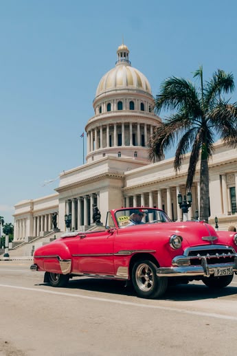 Classic pink car driving past El Capitolio in Havana, Cuba, with palm trees and clear blue sky.