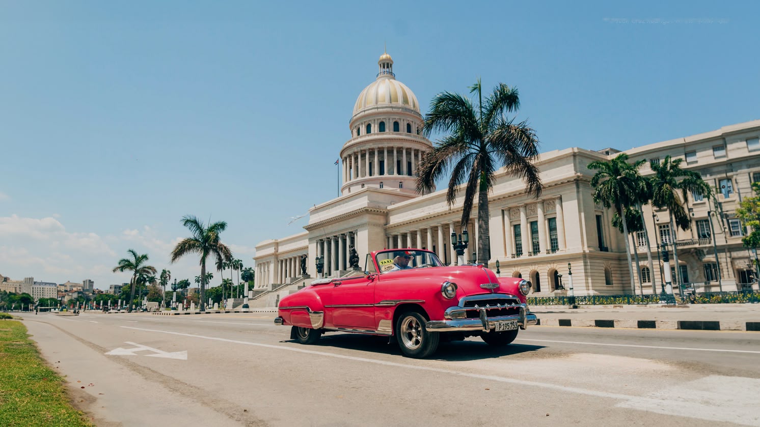 Carro rosa clássico passando pelo El Capitolio em Havana, Cuba, com palmeiras e céu azul claro.