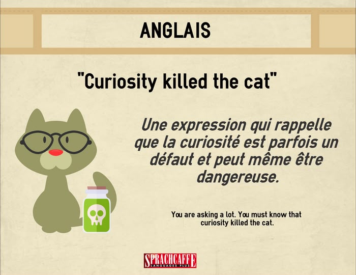 Curiosity killed the cat - Expression anglaise Curiosity killed the cat - Expression anglaise