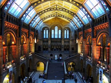 Meetup Londres - Natural History Museum of London