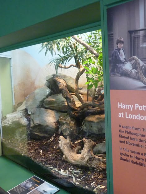 London Zoo snake enclosure with Harry Potter plaque