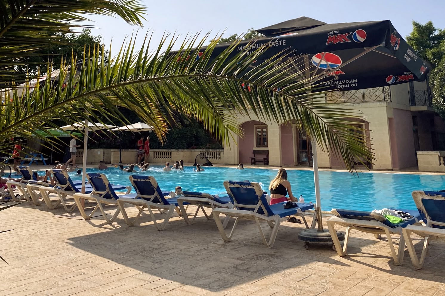 Sunny pool area at Sprachcaffe Malta with people lounging and swimming, shaded by palm trees and umbrellas.