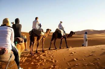 Paseo en camello en el Desierto del Sáhara