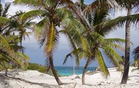 Beaches at Cozumel Island