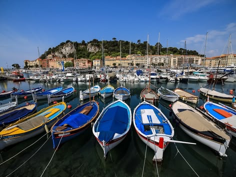 Colourful boats docked in the Port of Nice, France, with hillside buildings and a marina in the background.