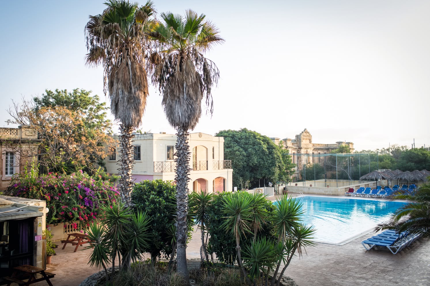 View of the Sprachcaffe Malta pool area surrounded by palm trees, tropical plants, and historic Mediterranean buildings.
