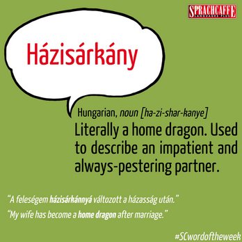 Hungarian - "Házisárkány"