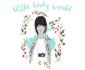 Little Birdy World