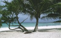 Beautiful beaches at Sian Ka'an Biosphere