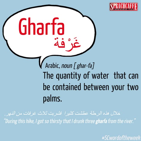 Arabic - "Gharfa"