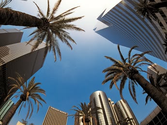 sprachcaffe los angeles skyline