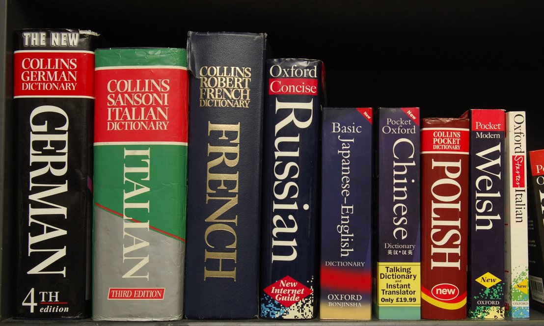 Słownik językowe na półce od książek