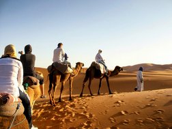 french language course rabat free time activities camel ride in desert