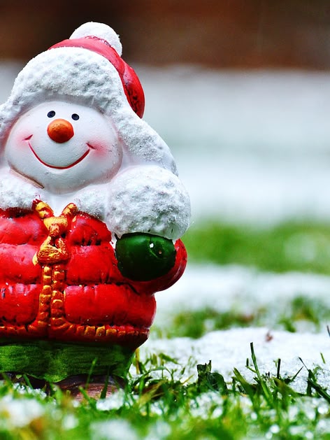 Destinations de séjour linguistique pour Noël