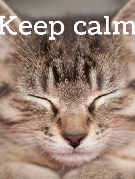 keep calm and carry on traduzione