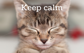 keep calm and carry on traduzione