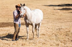 Séjour à la ferme dans une famille d'accueil