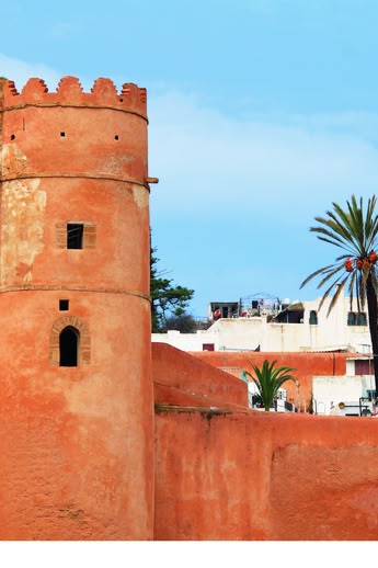 vacanza studio arabo