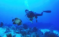 Snorkeling and Diving Paradise
