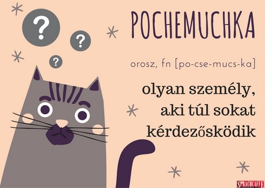 Orosz: pochemuchka