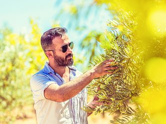 Curso de Italiano na Calábria