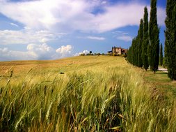 Paysage de Toscane - Italie