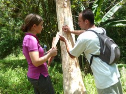 Atividades de Recreação em Havana de Intercâmbio de Espanhol para Negócios