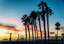 Los angeles et tourisme