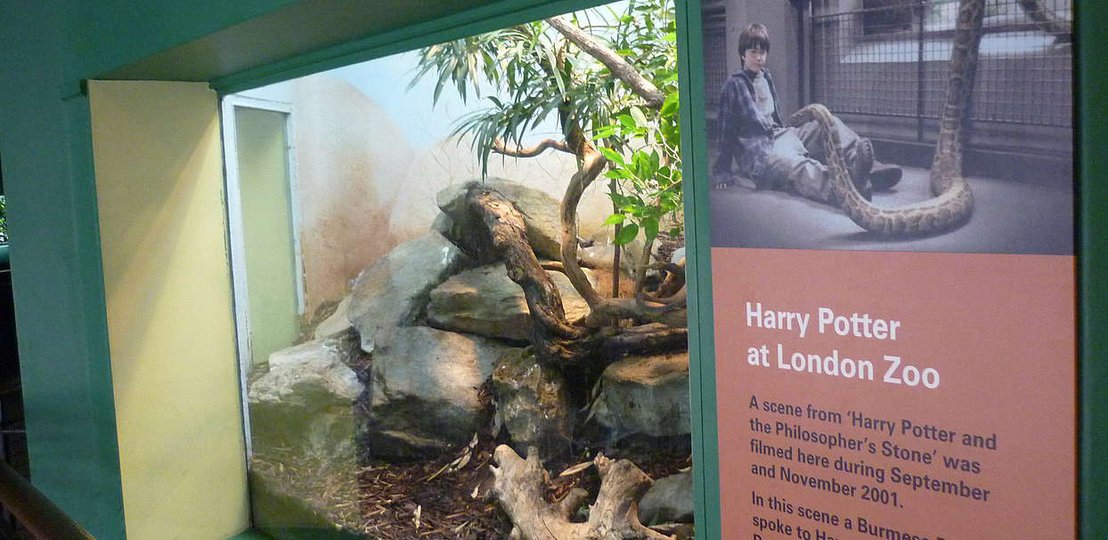 Harry Potter set in London Zoo - ©ZSL London Zoo