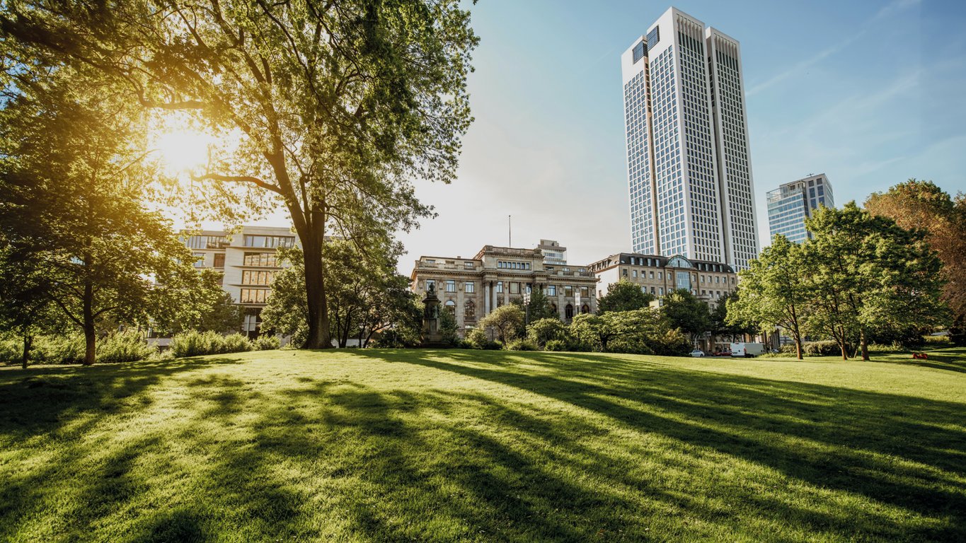 Sunny park in Frankfurt, Germany, with modern skyscrapers and green open space in the foreground.