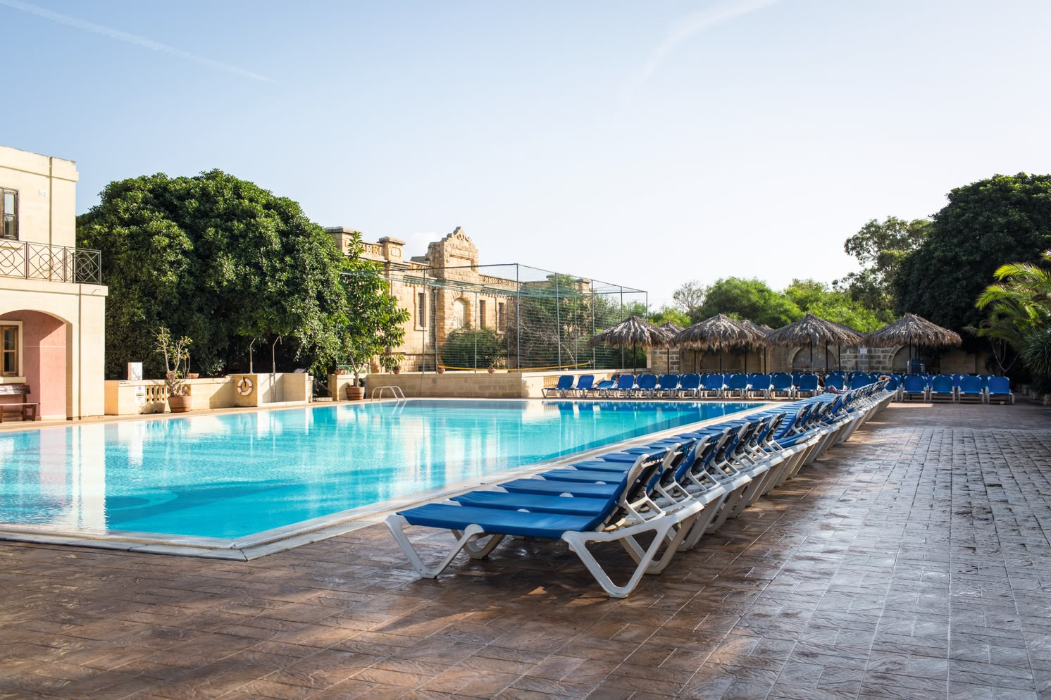 Spacious pool area at Sprachcaffe Malta with rows of blue sun loungers, palm trees, and historic buildings in the background.