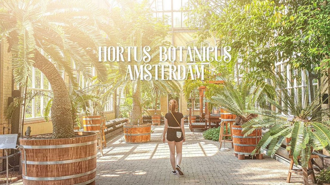 Hortus Botanicus Amsterdam - 2019