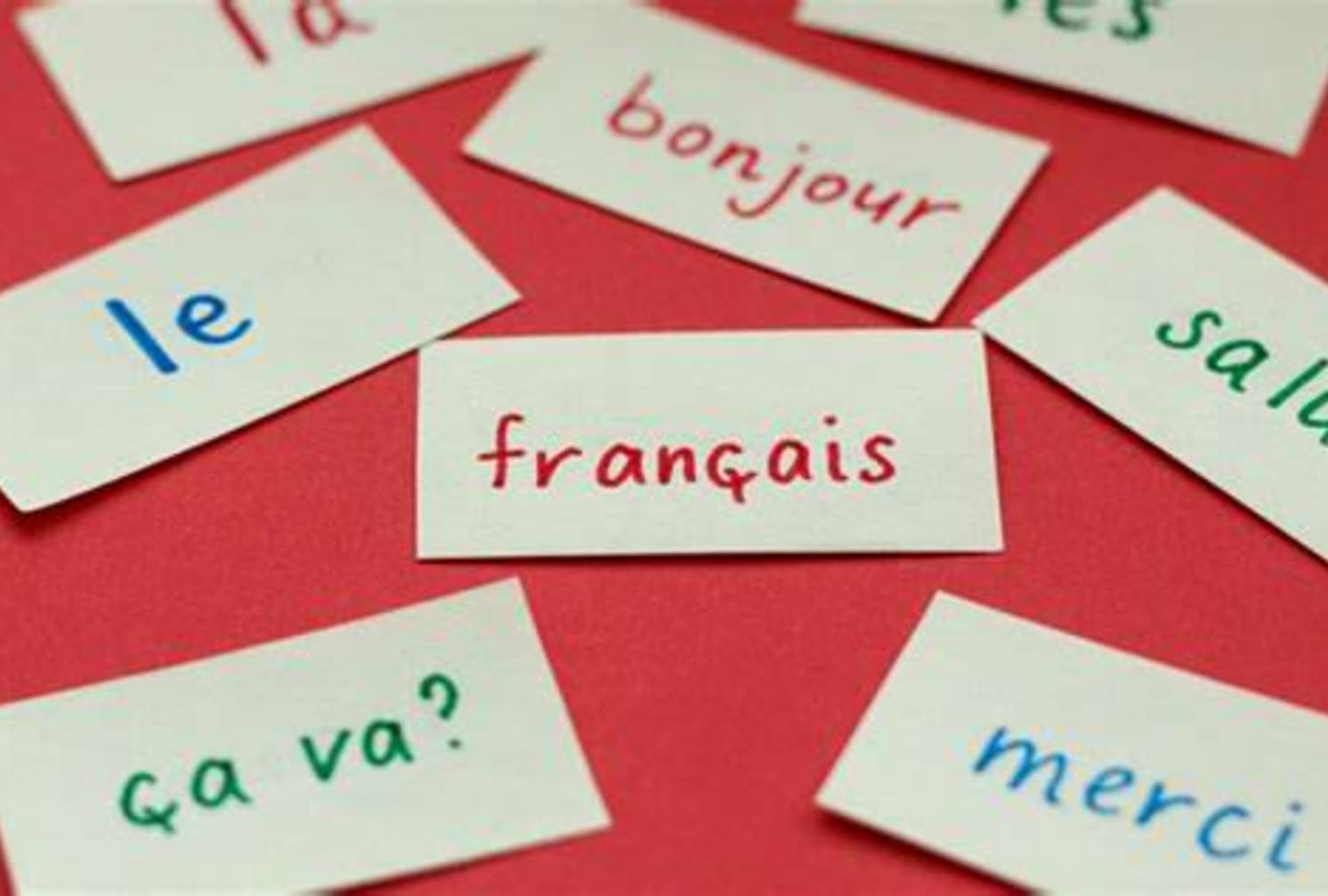**ALT:** Kartki z francuskimi słowami i zwrotami, takimi jak "français," "bonjour," "le," "ça va?," i "merci," rozłożone na czerwonym tle.